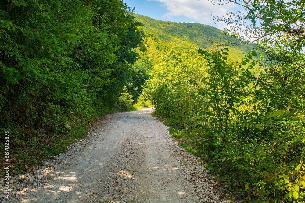 A country road near Martin Brod village, Bihac, in the Una National Park. Una-Sana Canton, Federation of Bosnia and Herzegovina. Early September