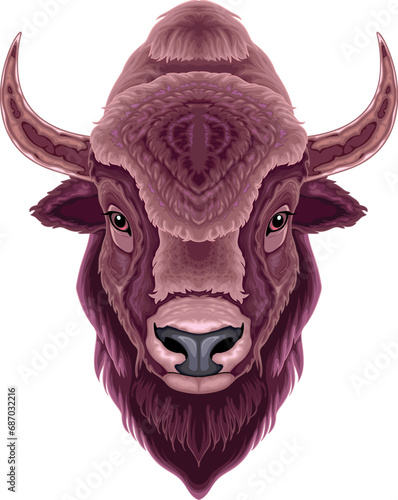 Bison head, vector isolated animal.