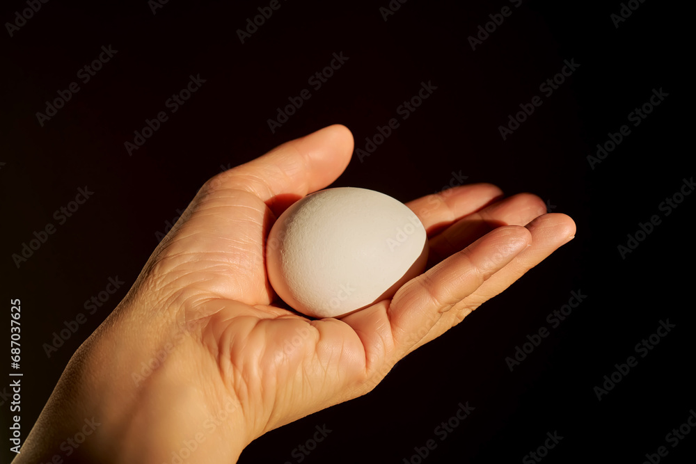 White chicken egg in a woman's hand. White chicken egg in a woman's hand.