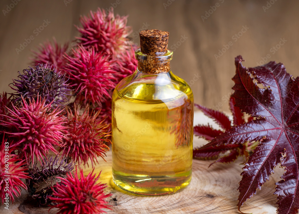 Castor oil bottle with castor fruits, seeds and leaf. Ricinus Communis plant oil.