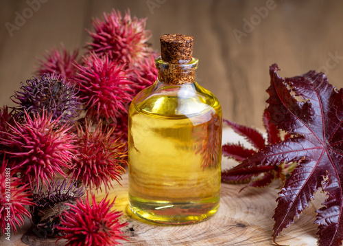 Obraz na płótnie Castor oil bottle with castor fruits, seeds and leaf. Ricinus Communis plant oil. w salonie