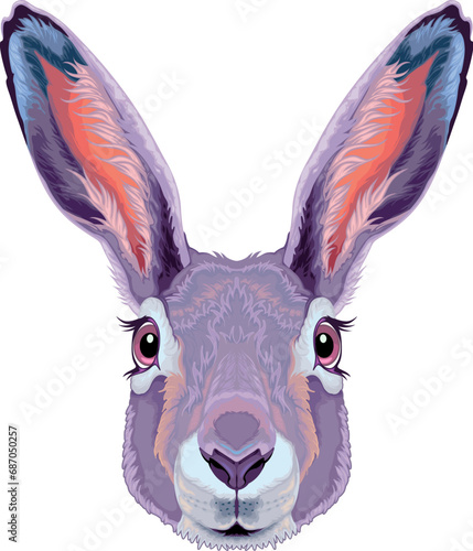 Hare frontal view, vector isolated animal.