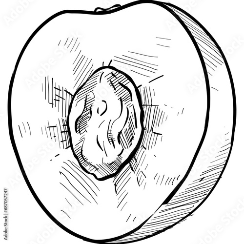 peaches handdrawn illustration