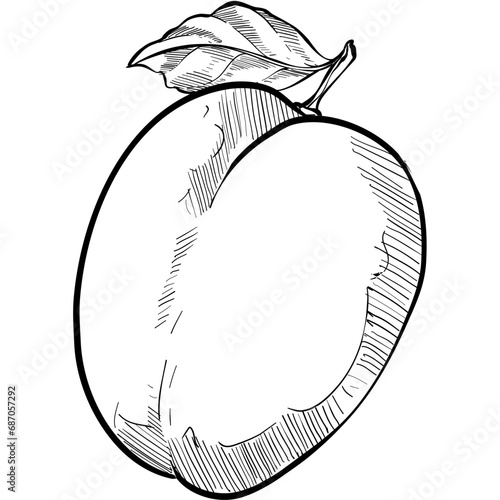 peaches handdrawn illustration