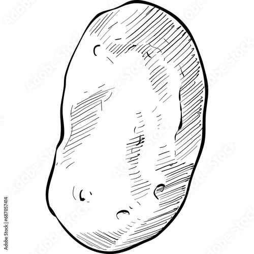 potato handdrawn illustration