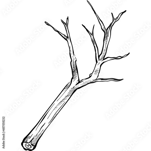 wood handdrawn illustration