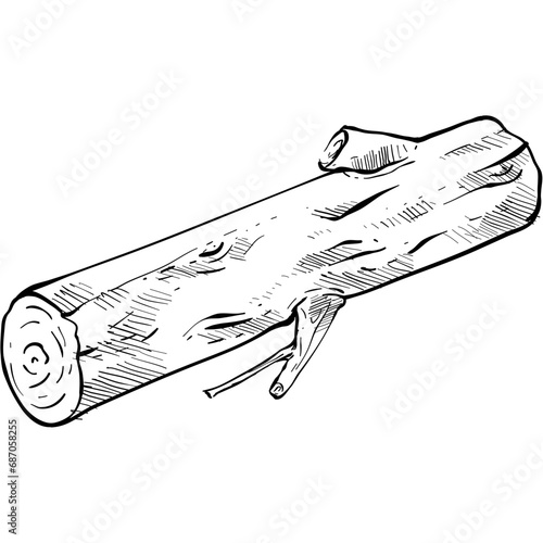 wood handdrawn illustration