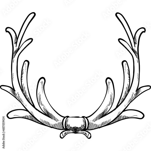 deer antlers handdrawn illustration