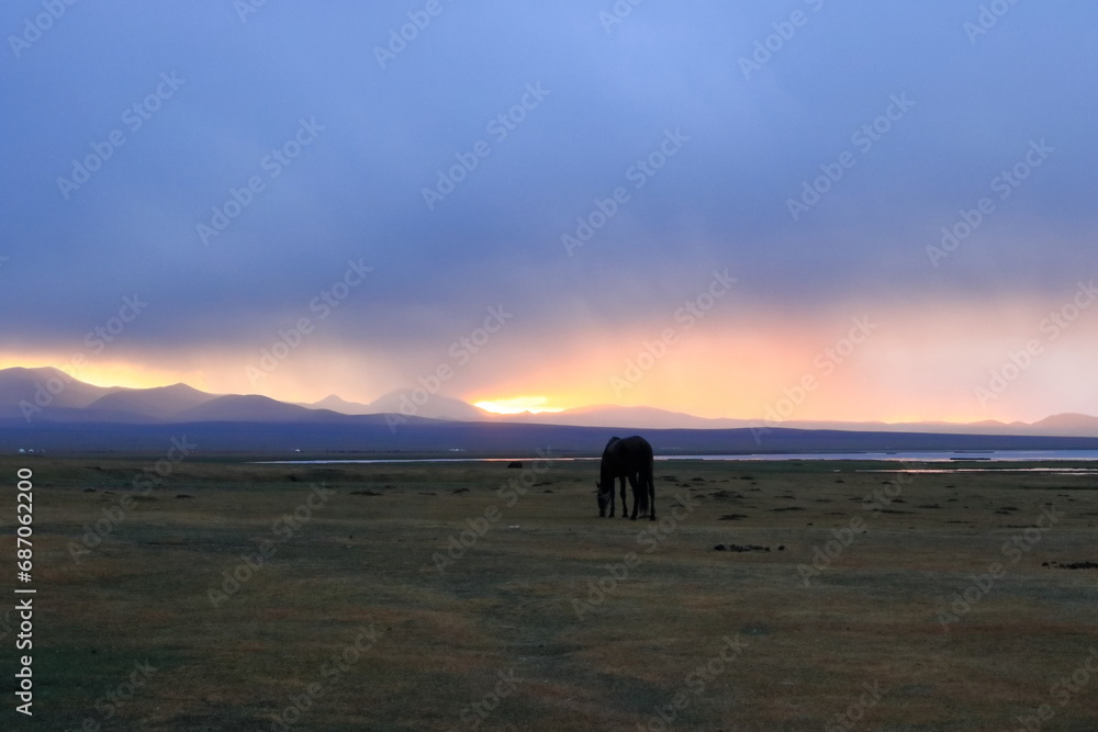 Φωτογραφία Sunset with a horse over Song Kol Lake in Kyrgyzstan
