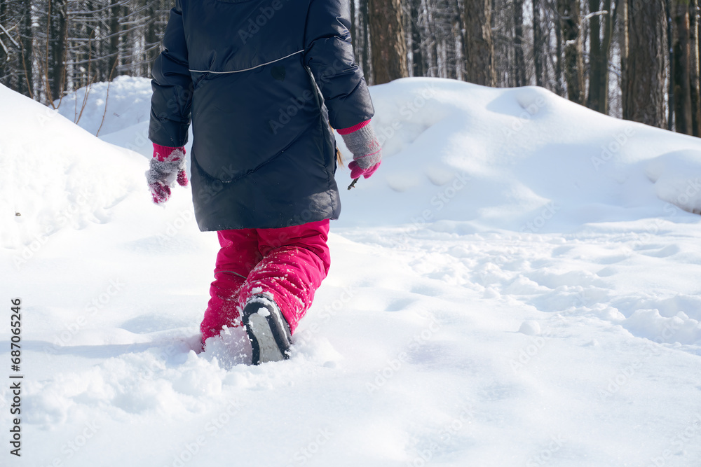A girl child plays snowballs in winter, walks on snowdrifts. Forest park and a walk in the fresh air. Selection Focus