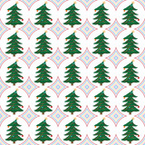 beautiful colorful Christmas background with green spruce 
