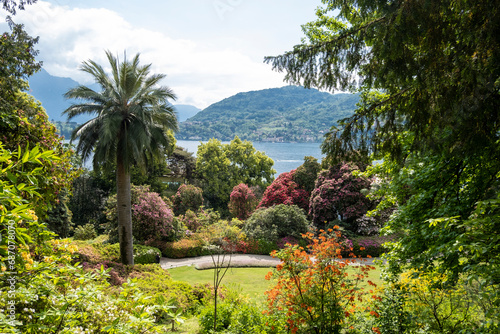 Lake Como springtime - beautiful garden in front of the lake. Taken in Tremezzo, Italy Lombardy
