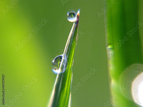 Two dew drops on a green grass blade with blurred view.