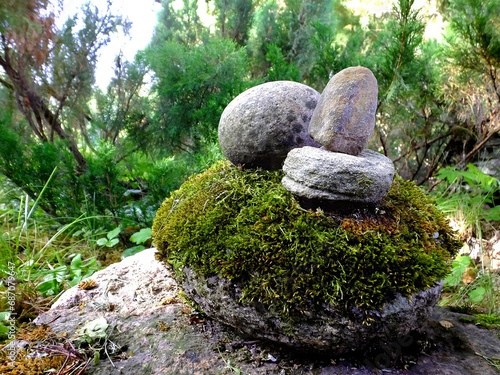 A beautiful stone composition in a backyard park with green poplar trees and moss.