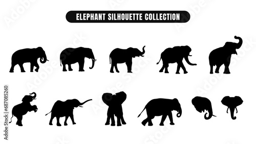 Collection of Elephant Silhouette with Calf. Wildlife Animal Silhouettes