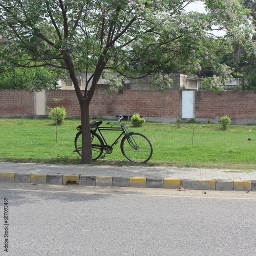 Lush Greenery: Embracing the Scenic Beauty of Nature with Abundant Leaves and Trees