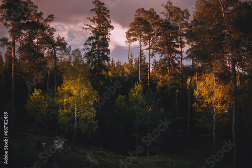 Sunset in the forest in southern Germany, near Bartholomä in the valley Wental Felsenmeer. photo