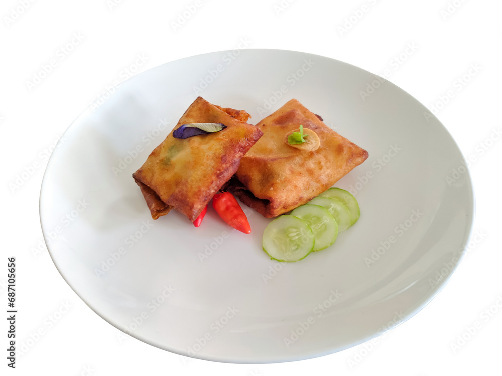 fried indonesian martabak on flat lay on white plate, isolated fried indonesian martabak on flat lay on white plate, isolated