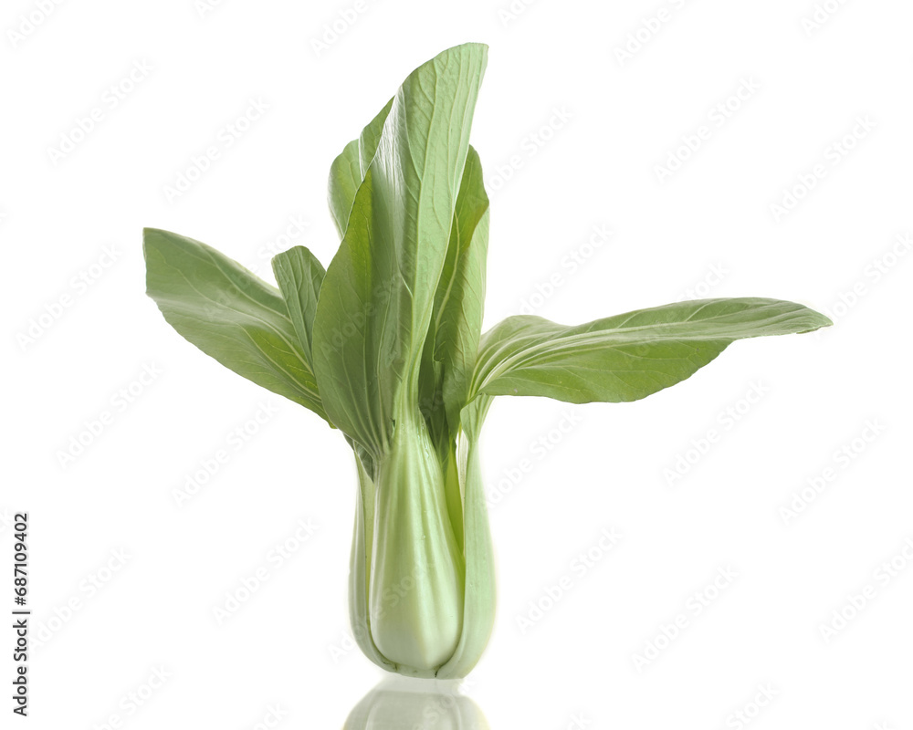 bak choi or pak choy vegetable bak choi or pak choy vegetable