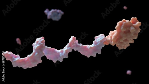 protein G−DNA conjugate an antibody to the intended area on the surface of bioassay chips or particles; 3d rendering
