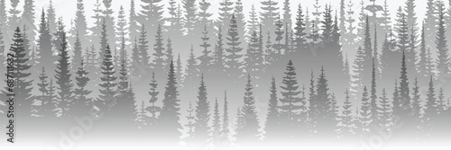 Coniferous forest in the morning haze, black and white landscape, banner