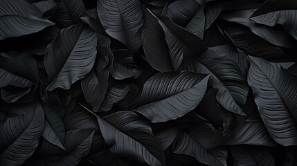 Closeup tropical black leaves texture and dark tone process, abstract nature pattern background