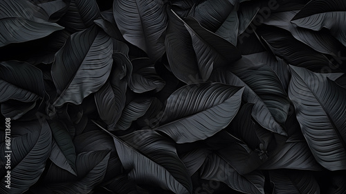 Closeup tropical black leaves texture and dark tone process, abstract nature pattern background © FutureStock