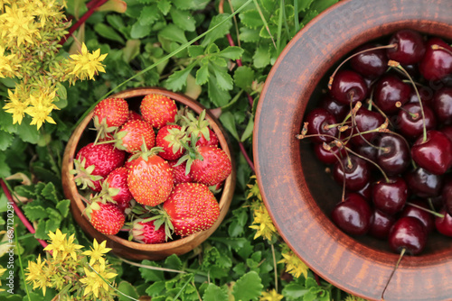 Strawberry and cherry berry harvest in garden eith flowers top view. Fresh ripe organic strawberries and cherry berries in bowl, plate closeup