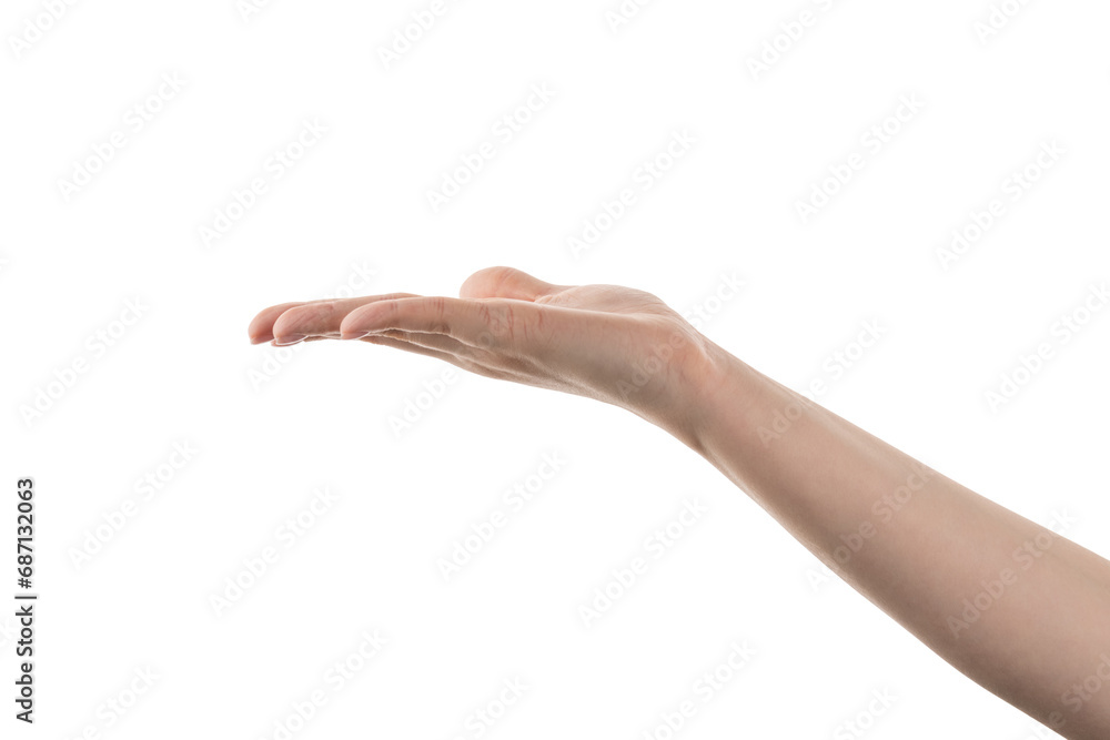 Young woman hand hold something with flat palm isolated on white background Young woman hand hold something with flat palm isolated on white background