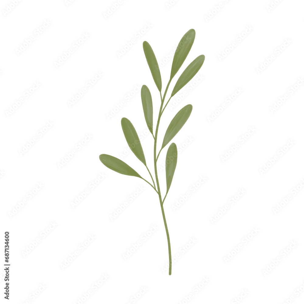 Fototapeta premium Green leaf illustration