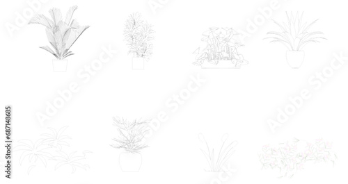 set of illustrations of plants  flower and ornamental plants for interior decoration in pot and vases drawn with black lines suitable for libraries of architecture and interior design students
