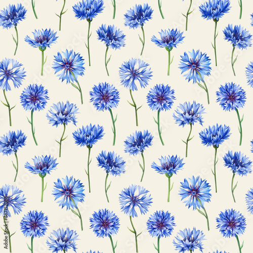  Cornflower, Seamless pattern with wildflowers watercolor. Floral design, elegant botanical background. Blue flowers 