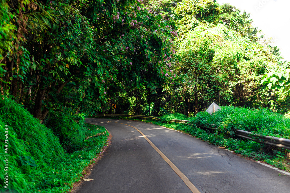 Obraz premium The background of the mountain road has many kinds of large trees, green grass, and the wind blows past in a blur. The weather is cool and comfortable throughout your adventure travel.