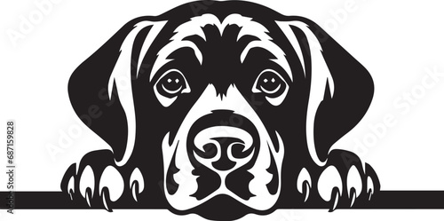 black and white labrador dog illustration