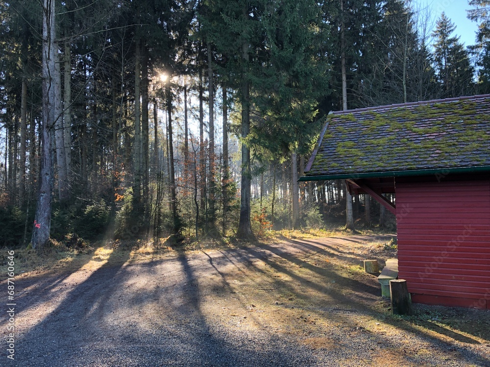 Jagdhütte in Sonnenstrahlen