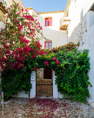 Castellar de la Frontera, a fortified town on top of a hill in Southern Andalusia photo