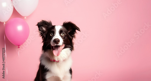 Cute doggy on pink pastel background with red and white balloons and empty copy space with mock up. Layout for greeting card.