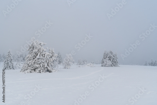 Winter landscape at the mountain called Kahler Asten in the city Winterberg © Matthias