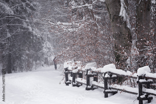Krajobraz zimowy, szlak górski i zaśnieżone drzewa © anettastar