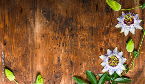 Passiflora on a wooden background