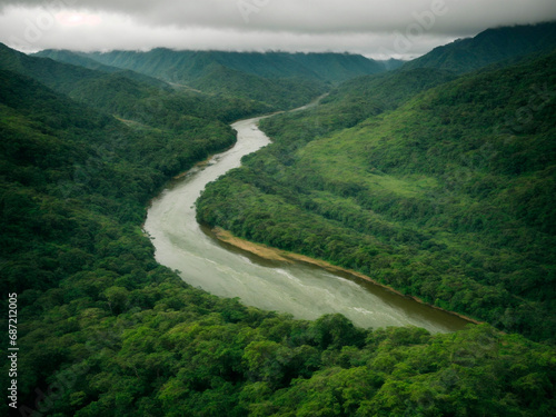 Preservando a Vida  O Esplendor de um Rio na Selva da Mata Atl  ntica