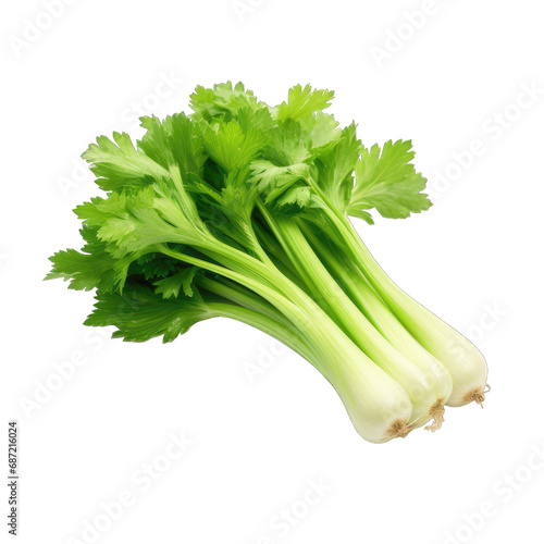 Celery isolated on transparent and white background. PNG transparent