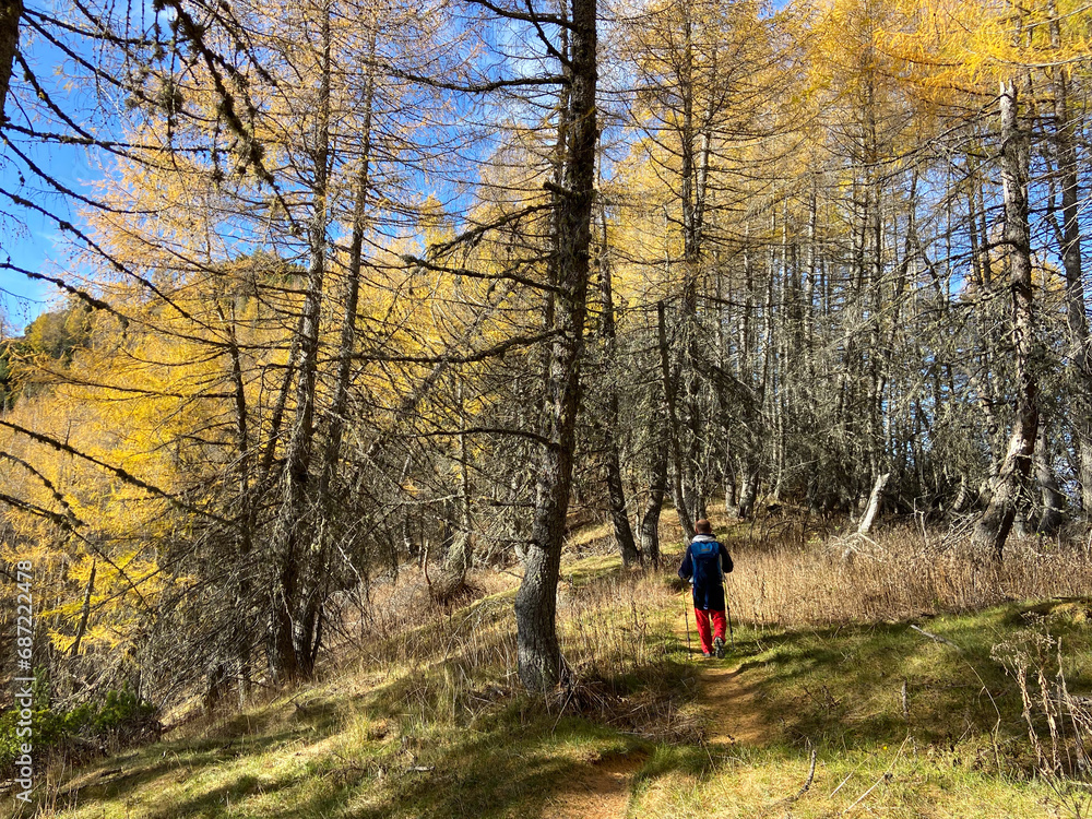 Fototapeta premium autumn in montain Trentino , trekking in the nature