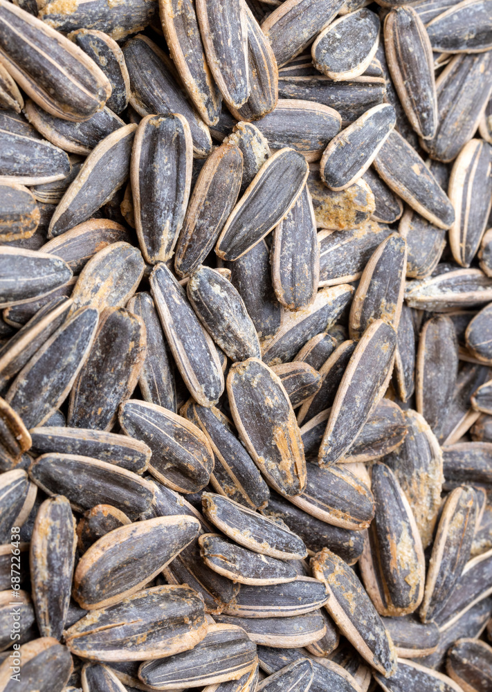 Salted sunflower seeds on a white background