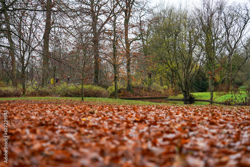 Photography Copenhagen, Denmark - November 19, 2023: Copenhagen Frederiksberg Gardens