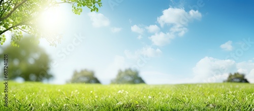 Spring nature with a tidy lawn trees and a blue sky on a sunny day Copy space image Place for adding text or design