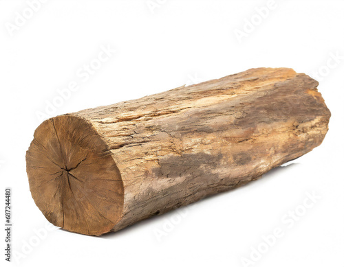Wooden log isolated on white background 