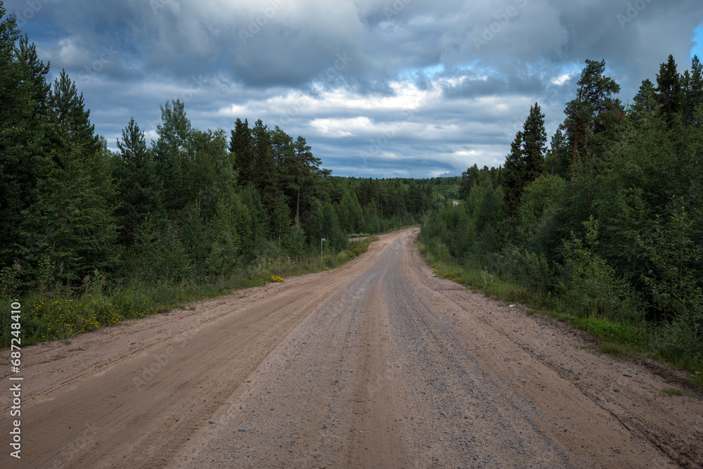 a dirt road into the forest going into the distance. a dirt road into the forest going into the distance.
