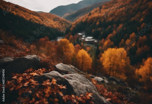 Autumn in the mountains with stream