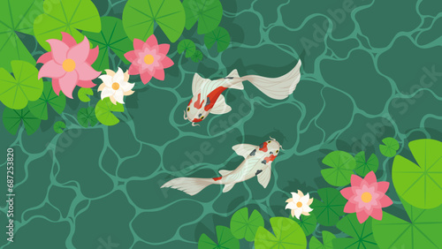 Pond with koi fish and water lily leaves top view. Vector cartoon landscape of green lake or river surface with water plants and koi fish.